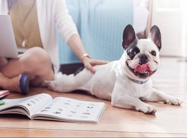 Vai fazer home office por causa do coronavírus? Confira as dicas